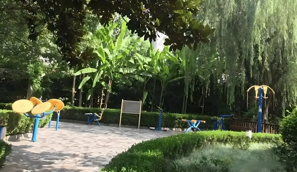 职高入深户需要哪些条件_董璇失去的口碑，竟然被自己9岁的女儿挽回了 扫描信二网微维码创业